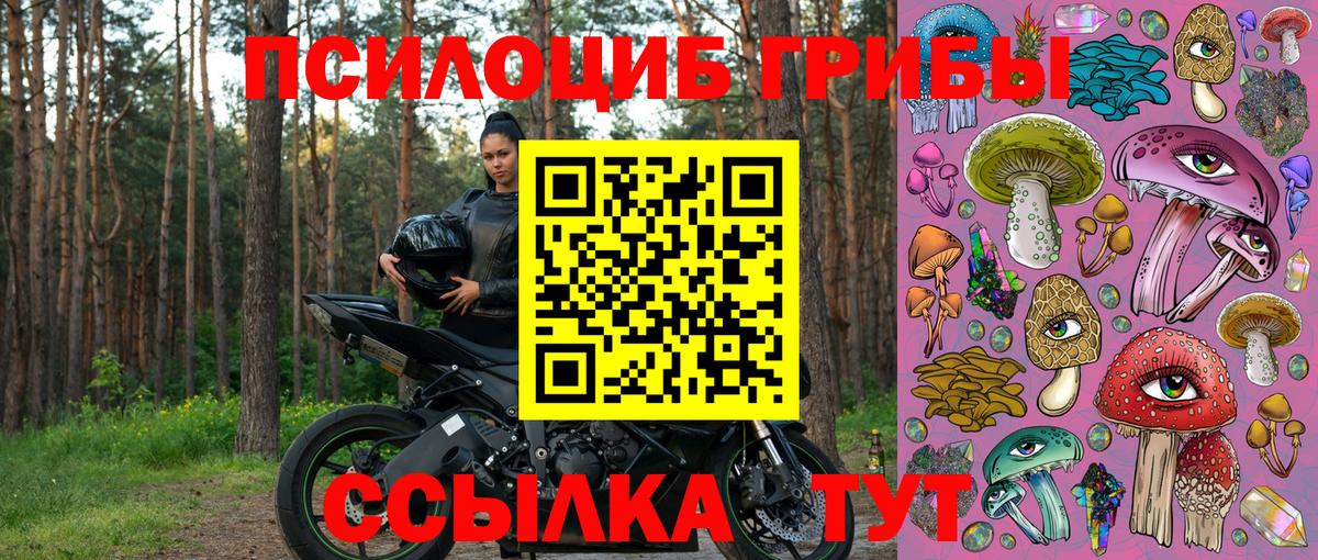 Псилоцибиновые грибы мицелий Белебей
